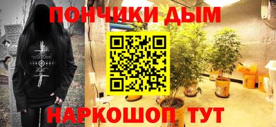 прущие грибы Пенза